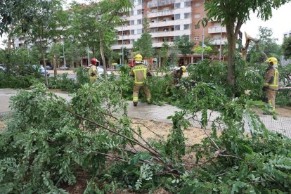 Martes 22 de junio de 2022