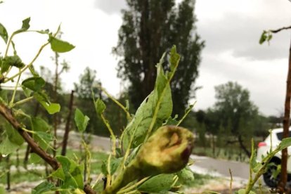 La carretera C-13 en Camarasa, cortada por el granizo.