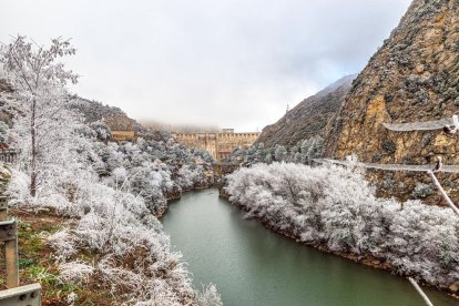 El fred, la boira i la neu... l'hivern ja és aquí!