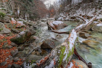 El fred, la boira i la neu... l'hivern ja està aquí!