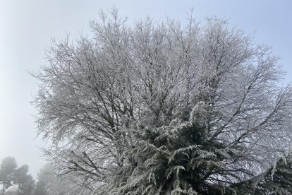 El fred, la boira i la neu... l'hivern ja està aquí!