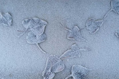 El fred, la boira i la neu... l'hivern ja està aquí!