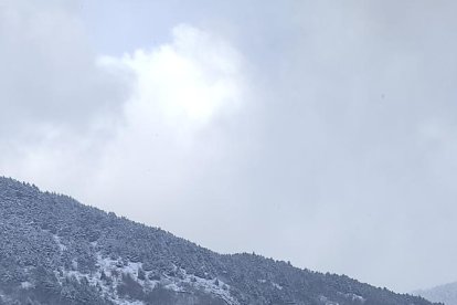 El fred, la boira i la neu... l'hivern ja està aquí!