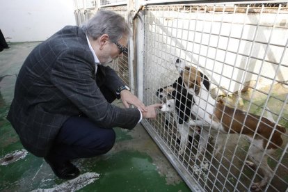 El alcalde de Lleida, Fèlix Larrosa, durante su visita de ayer.
