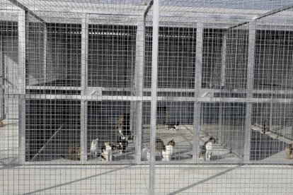 El alcalde de Lleida, Fèlix Larrosa, durante su visita de ayer.