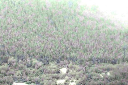 Nevada a la Val d'Aran i el Pallars Sobirà