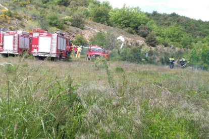 Dos muertos al estrellarse un ultraligero en la Seu