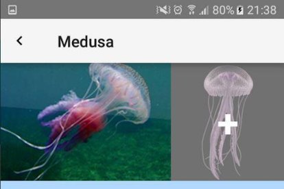 Aplicacions per anar a la platja