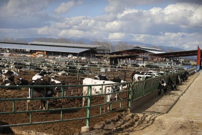 En el centro de la imagen se pueden apreciar las placas solares instaladas en uno de los tejados de la granja.