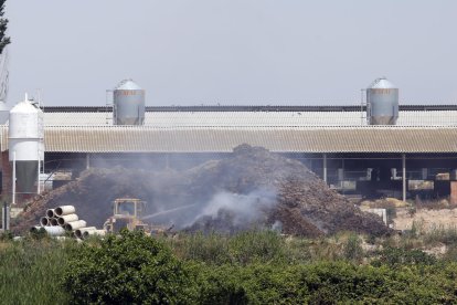 En Puiggròs ardieron 500 toneladas de estiércol.