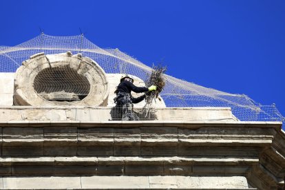 Un dels cinc mussols col·locats a les cúpules de la Catedral.