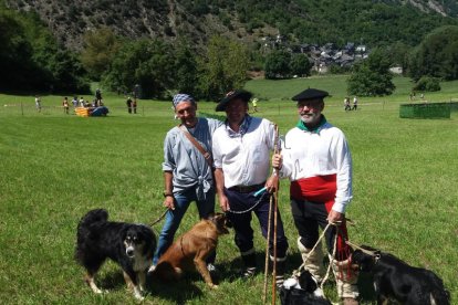 Un momento de las pruebas de ayer en el concurso de Gossos d’Atura en los prados de la Coma de Llavorsí.