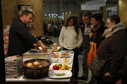 Imatge d’una finca de cultiu de poma ecològica a Sant Llorenç de Morunys.