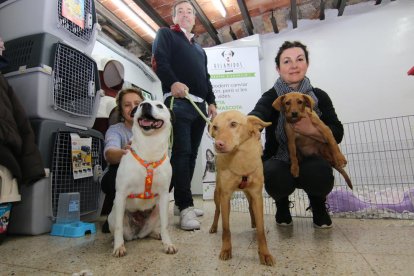 La feria cuenta con cuarenta estands dedicados a la producción alimentaria ecológica.