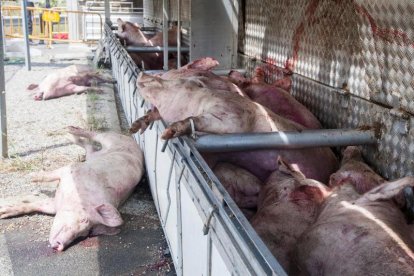 Varios efectivos de los bomberos, ayer, trabajando junto al camión volcado.