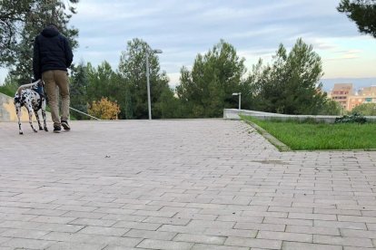 Farolas y tomas de luz abiertas y con los cables arrancados.