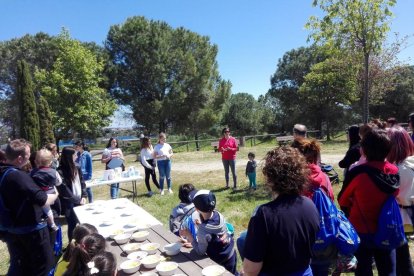 Solidaritat des de les aules