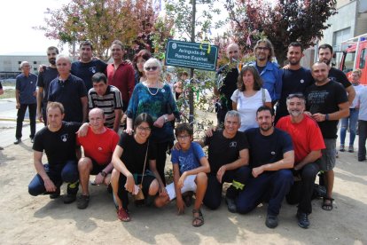 La descoberta de la placa.