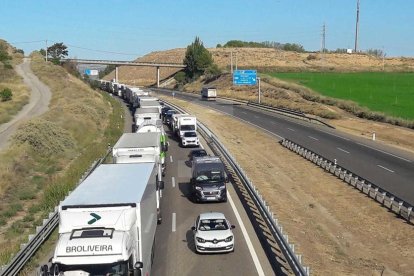 Vuelca un camión cargado de cerdos al A-2 en Lleida