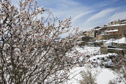 Imagen de almendros cubiertos de nieve captada ayer en Talavera.