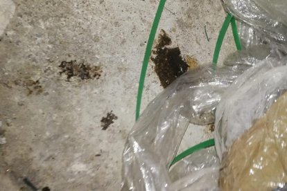 Suciedad - Todo el bloque está lleno de basura, restos de droga y excrementos de personas que entran de forma ilegal. Los vecinos aseguran que también aprovechan para robar “todo lo que pueden”.