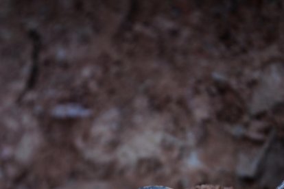 Vecinos y familiares de soldados, en la fosa del viejo cementerio.