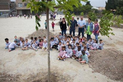 Escolares de Tàrrega plantaron ayer doce moreras.