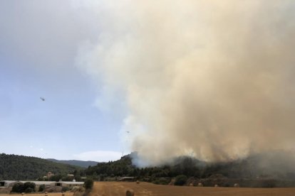 El incendio de Belianes afectó a más de nueve hectáreas de superficie agrícola en un campo de cereal.