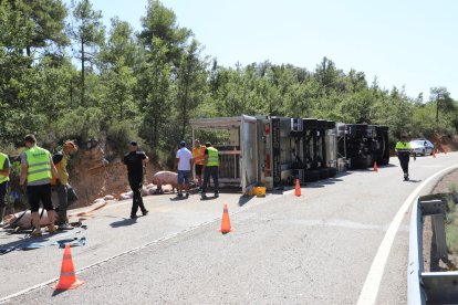 El camión volcó, ocupando uno de los carriles de la C-1412b en la Baronia de Rialb.