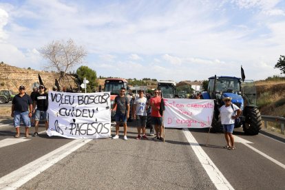 Más de 150 personas se concentraron ayer entre los kilómetros 86 y 87 de la C-12 cerca de Flix.