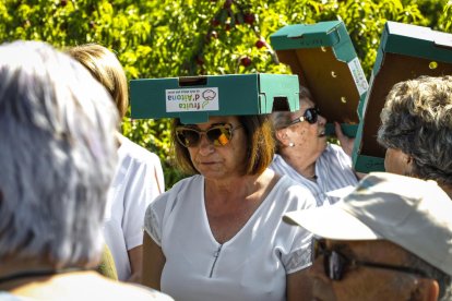 Los treinta turistas que participaron ayer en la ruta de ‘Aitona en Fruita’ pudieron recolectar nectarinas y llevárselas a casa.