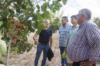 Visita a una plantación de pistachos organizada por la Cooperativa d’Ivars y el Grup Borges y que reunió a 45 agricultores.