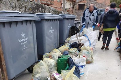 Alguns dels residus recollits dissabte passat.