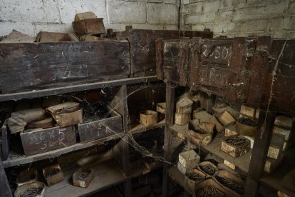 raig de sol. La llum natural il·lumina suaument el que un dia van ser màquines noves que no es van arribar a comercialitzar.