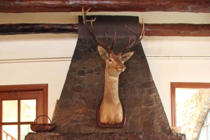 Mil·lenària i rodona