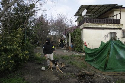Moment de la detenció d’un dels dos capitostos de la xarxa a Lleida i detinguts al Poal