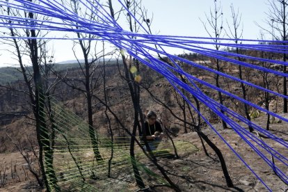 Una treintena de artistas comenzaron ayer a crear en el área afectada por el incendio cerca de Maials.