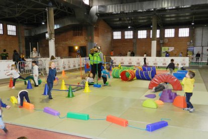 Arrenca una nova edició del Cucalòcum