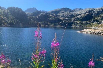 Calor, tempestes, camps grocs...ja és aquí l'estiu!