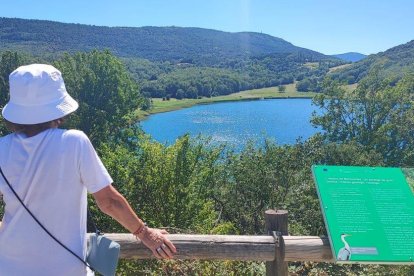 Calor, tempestes, camps grocs...ja és aquí l'estiu!