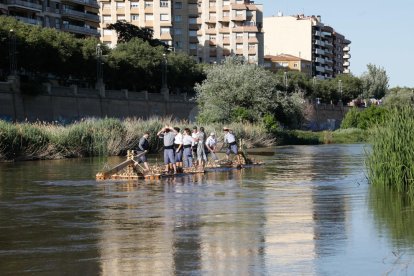 AMADO FORROLLA