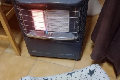 ¡Perros, gatos, canarios, conejos...preséntanos a tu mascota!