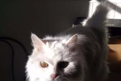 Olga