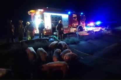 Bolca un camió carregat de porcs a l'AP-2 a Albatàrrec