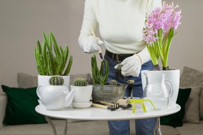 Jardines, balcones, terrazas, huertos o rincones con plantas y flores.