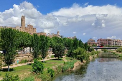 Joan Miquel Barrios.