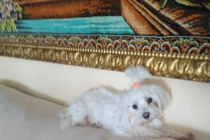 Miguel Angel i  Maria Luisa