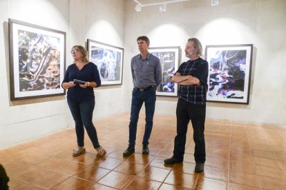 La exposición “El jardí d’humus” de Manuel Esclusa.