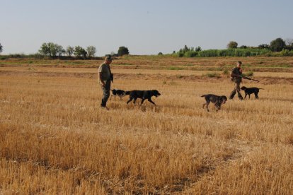 Cazadores con sus perros ayer por la mañana al inicio de la media veda en Bell-lloc.