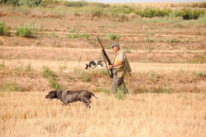 Cazadores con sus perros ayer por la mañana al inicio de la media veda en Bell-lloc.